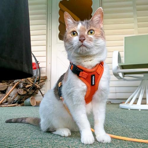 Voyager Step in Lock Cat Harness & Leash Set (Orange / XS (Chest: 13 - 16"))