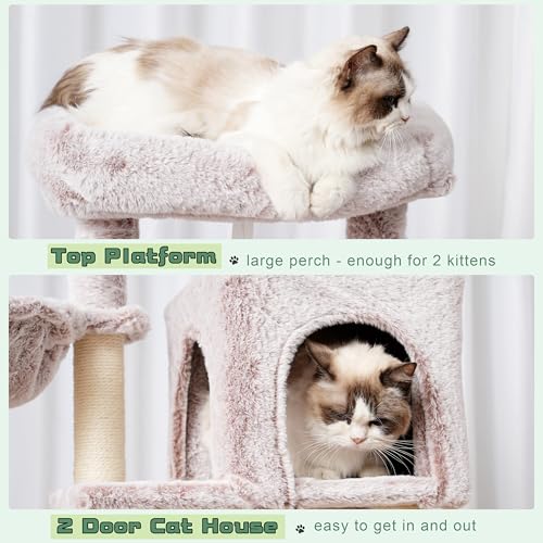 Cat Tree 43.3'' Cat Tower with Hammock for Kittens GCT004SMU (43.3 inches / Muchroom)