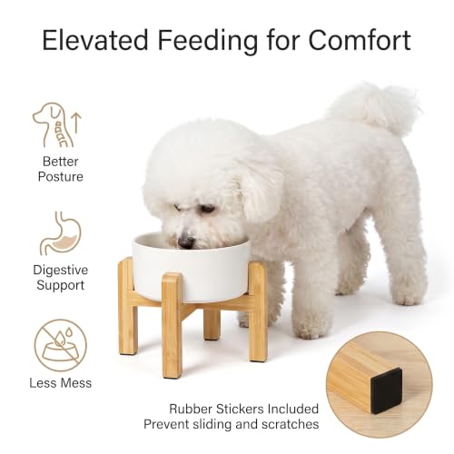 Raised Dog Bowl (Medium-2 / White)