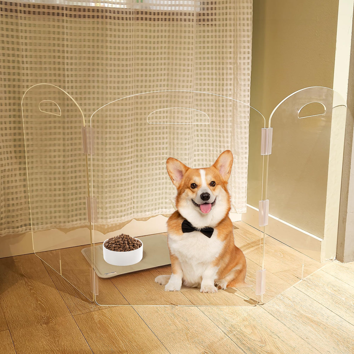 Clear Acrylic Dog Gate (3-Panel)