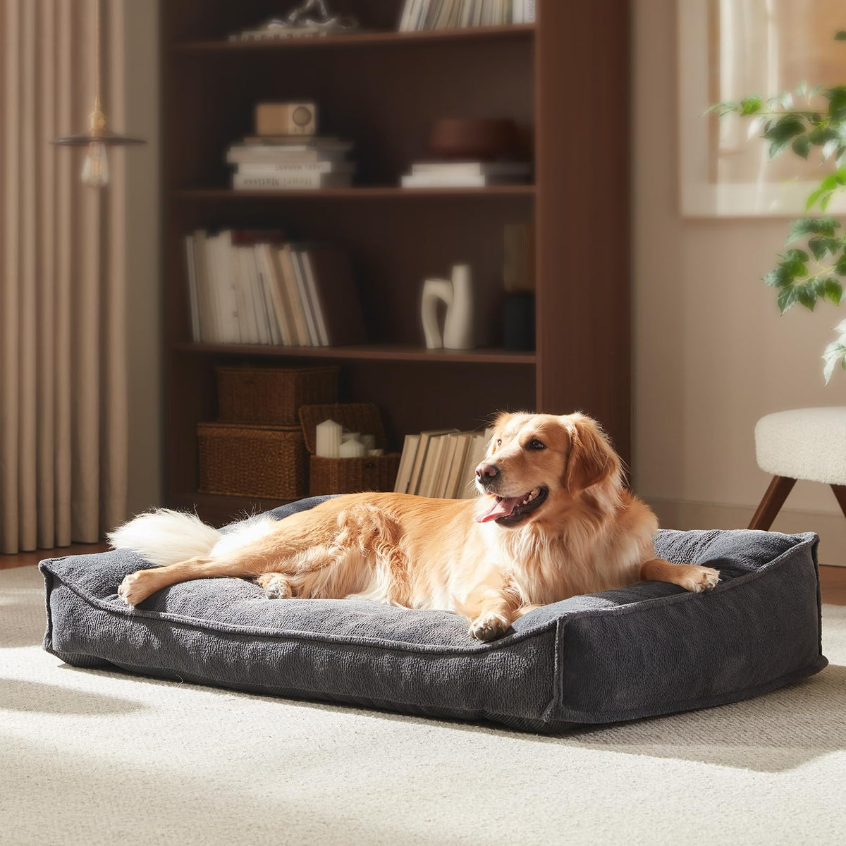 XL Orthopedic Dog Bed Large Sized Dog (Grey / 42"L x 30"W x 9.5"Th)