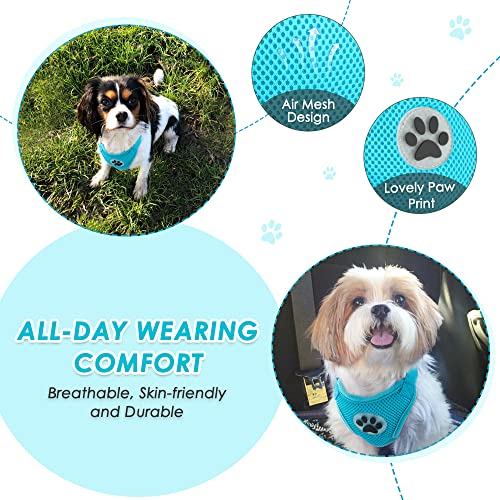 Dog Seat Belt and Harness for Car (Light Blue / X-Small)