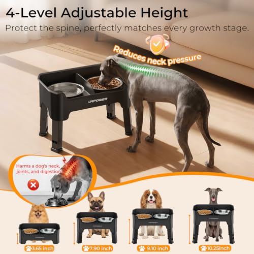 Mess Proof Elevated Dog Bowls (Matte Black / Small)