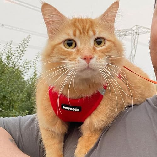 Voyager Step in Air All Weather Mesh Harness and Reflective Dog 5ft Leash Combo with Neoprene Handle (Harness Leash Set (Red) / M (Chest: 16 - 18"))