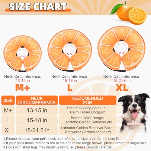 Inflatable Dog Cone Collar Alternative After Surgery (Orange / M+ (Neck:13-15in))