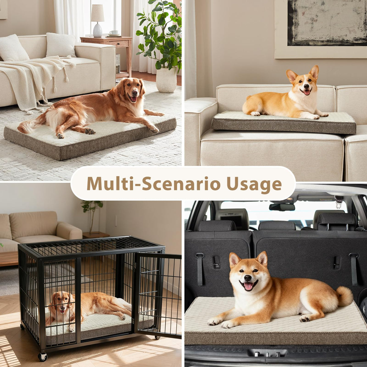 Orthopedic Dog Bed for Large Dogs (L(35"x22") / Beige)