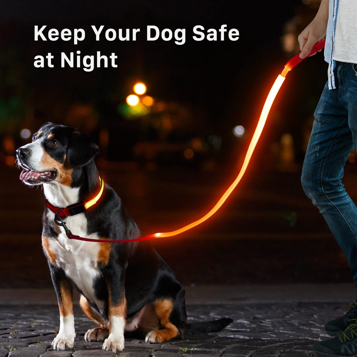 LED Light Up Dog Leash 3 Lighting Modes USB Rechargeable (Orange-3S)