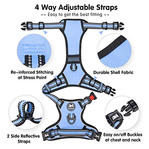 Dog Harness Large (XL / Light Blue)