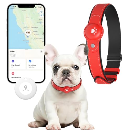GPS Tracker for Dogs (Orange / S(8.5''-13''))