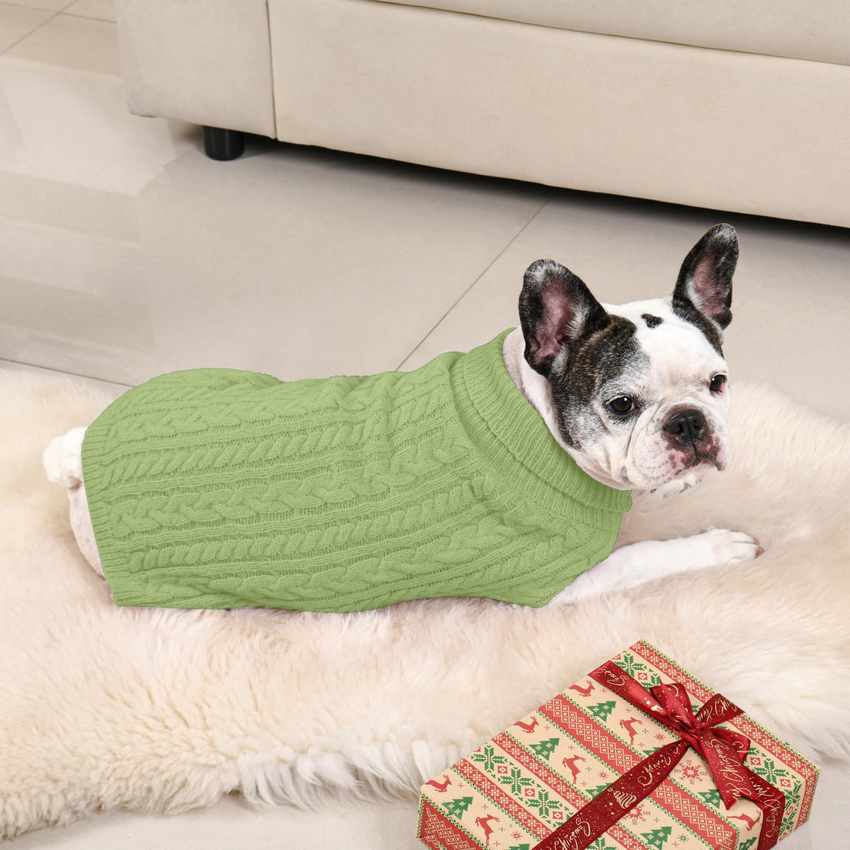 Dog Sweater 2 Pack for Medium Dogs (Blue & Green / Medium)