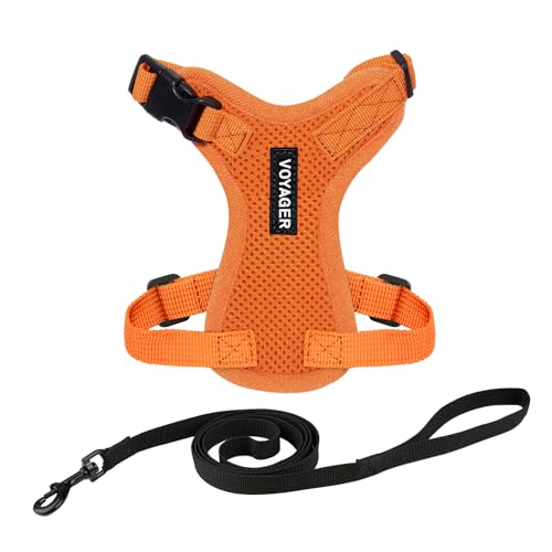 Voyager Step in Lock Cat Harness & Leash Set (Orange / XXXS (Chest: 10.5 - 13"))