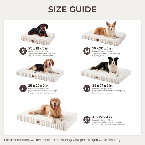 Dog Bed Medium Sized for Crate (Cream / M(30x20x3"))