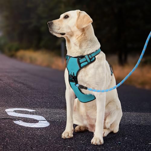 No Pull Dog Harness for Small Dogs (Peacock Blue / Small)
