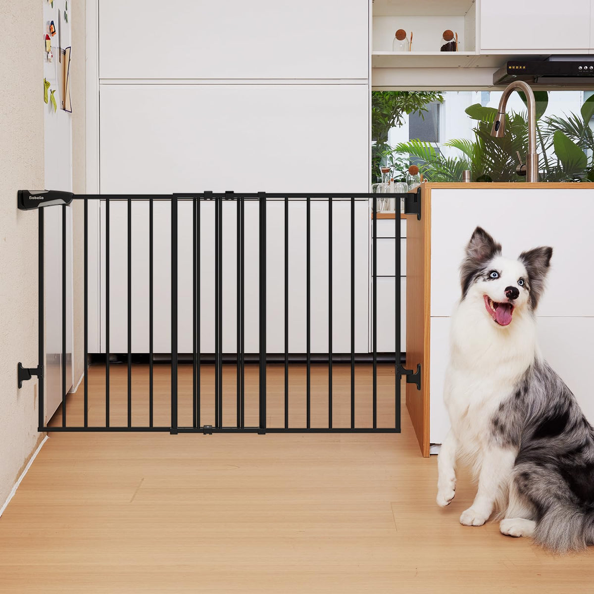 31.5 55" No Bottom Bar Baby Gate Extra Wide (Black / 28" H, 31.5-55" W- Extra Wide)