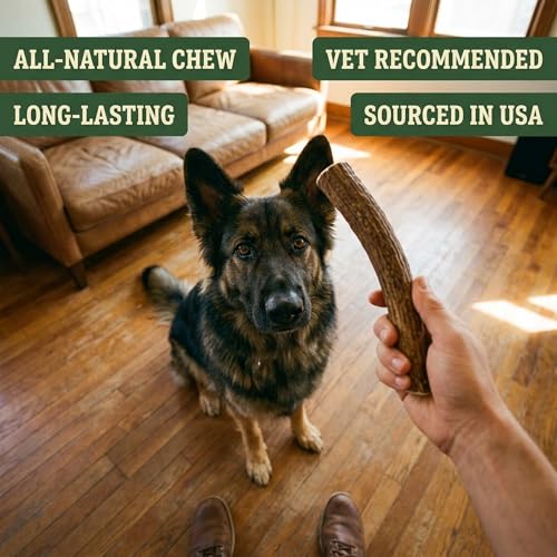 Deer Antler Dog Chew (Giant (Dogs 85+ lbs))