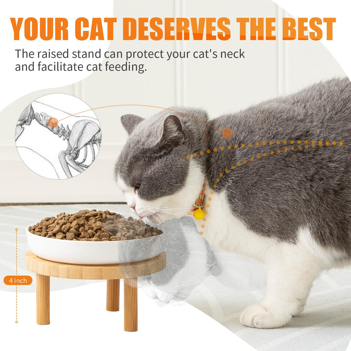 Shallow Wide Elevated Cat Bowls Whisker Fatigue (White)
