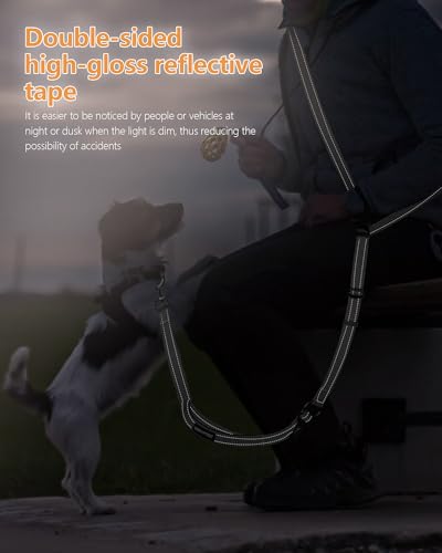 Hands Free Dog Leash with Seatbelt Set (Gray / 71-114‘’)