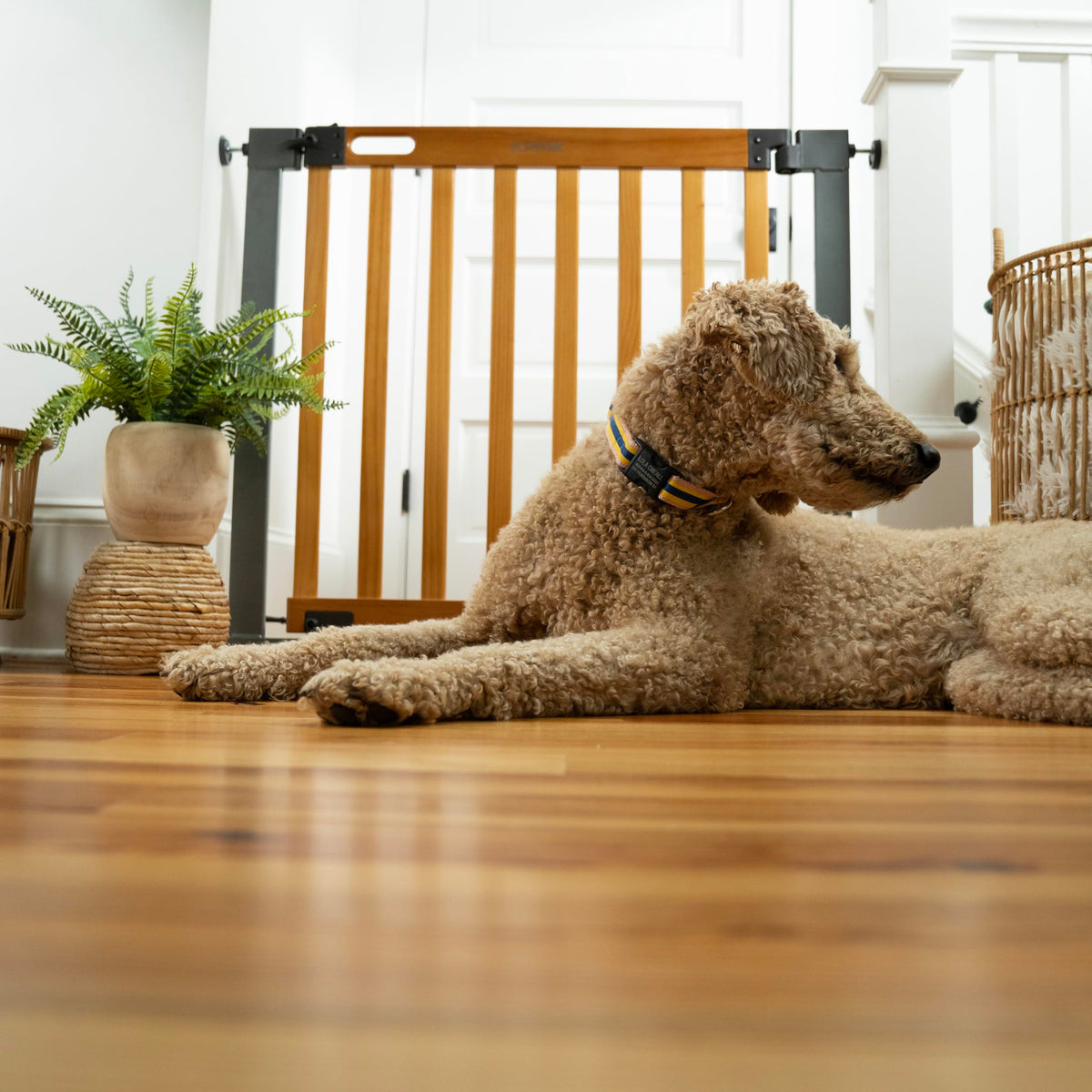 West End Extra Wide Safety Pet and Baby Gate (Oak Wood & Slate)