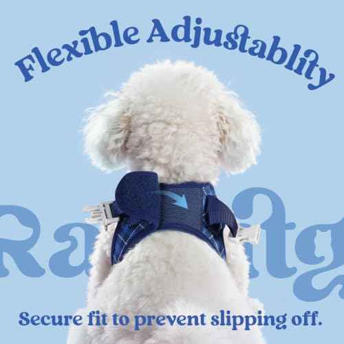 Dog Harness Small Sized and Leash Set (Navy Blue Plaid / XS (Chest: 13.3"-15.5"))