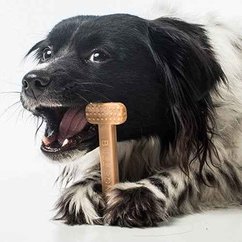 Nylon Dog Chew Toy for Aggressive Chewers (Small - 3 Pack)