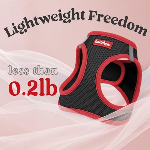 Dog Harness Small Sized and Leash Set (Black & Red / S (Chest: 15.1"-16.5"))