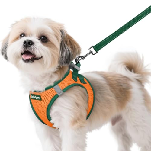 Dog Harness Small Sized and Leash Set (Orange & Dark Green / S (Chest: 15.1"-16.5"))