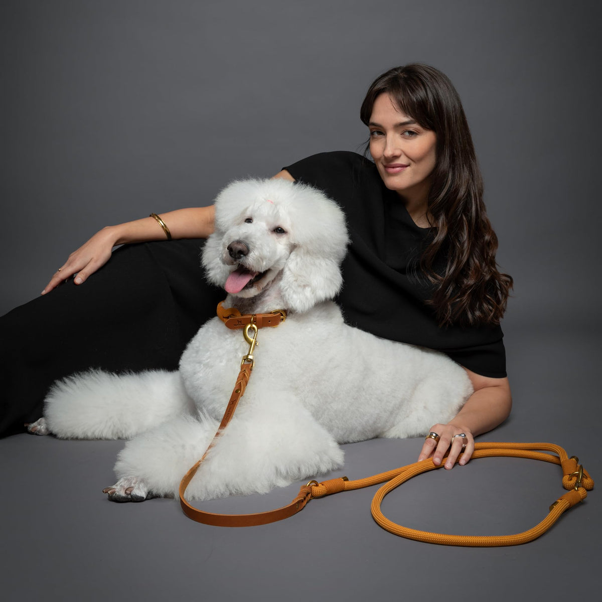 Hands Free Dog Leash (Camel)