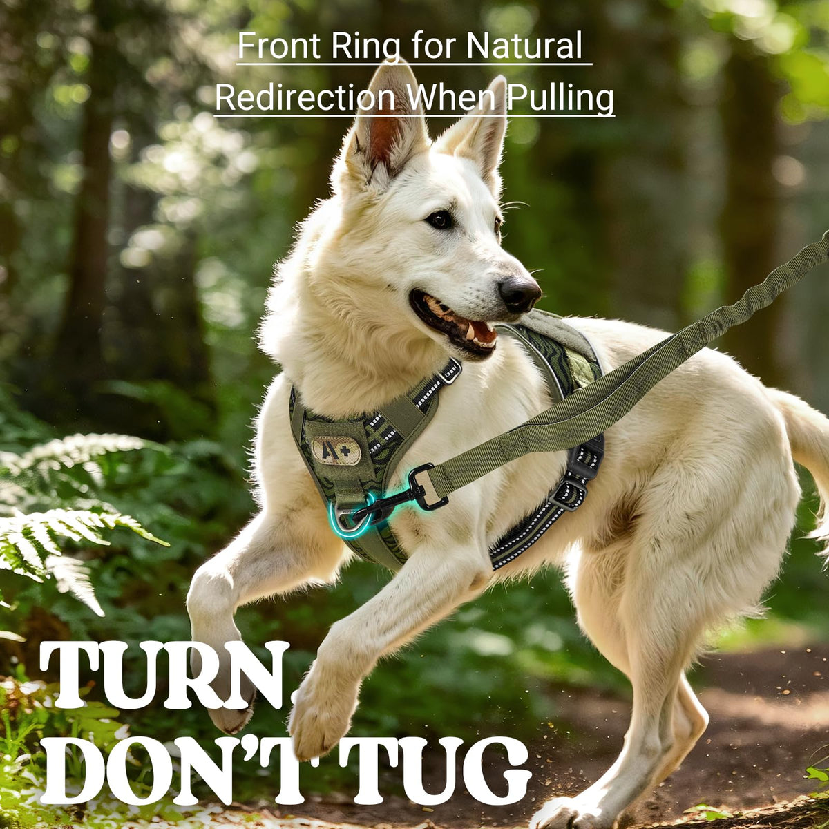 Tactical Dog Harness for Large (Green Desert / Small)
