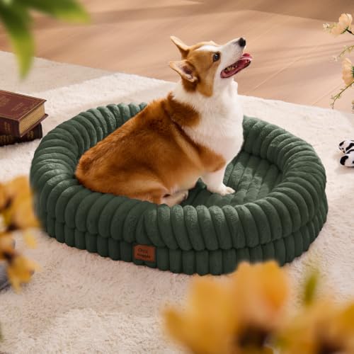 Orthopedic Dog Bed (Olive Green / L(35*28*7))