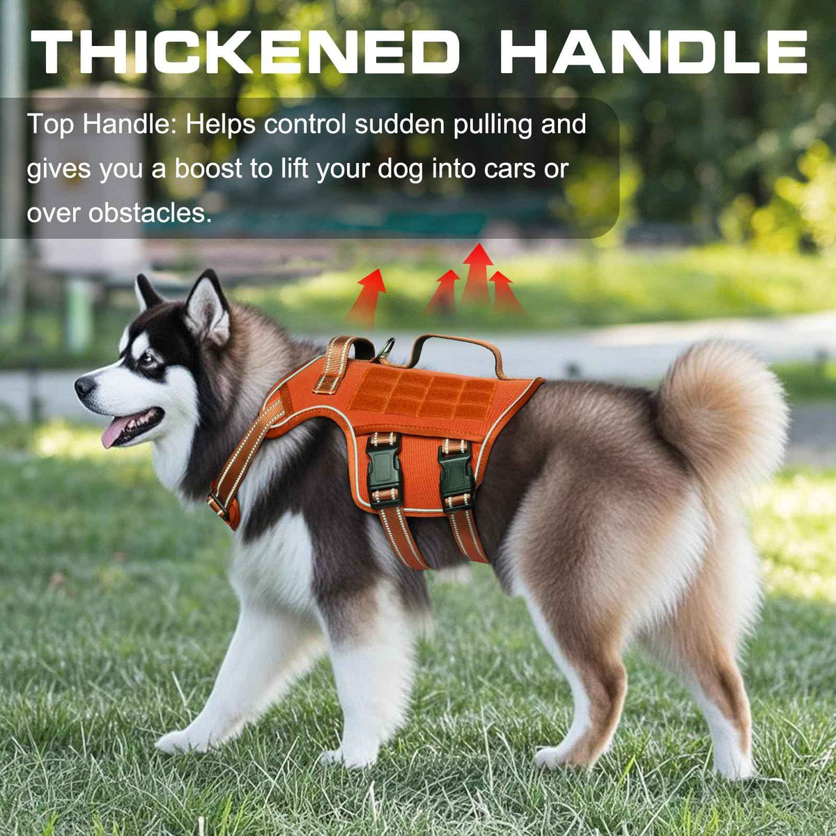 Dog Harness for Large Dogs (Orange / XL(Neck:21-32",Chest:26-39"),75-135 lbs)