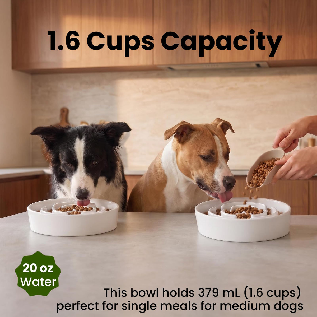 2 Pack Ceramic Slow Feeder Dog Bowls 1.6 Cups for Medium & Small Fast Eater (White + White / 2 Pack M - 1.6 Cups)