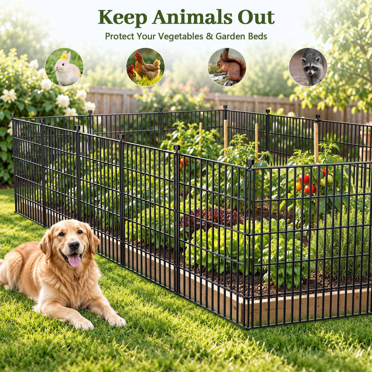 No Dig Garden Fence Outdoor for Yard (48 in(H) X 23.6 ft(L))