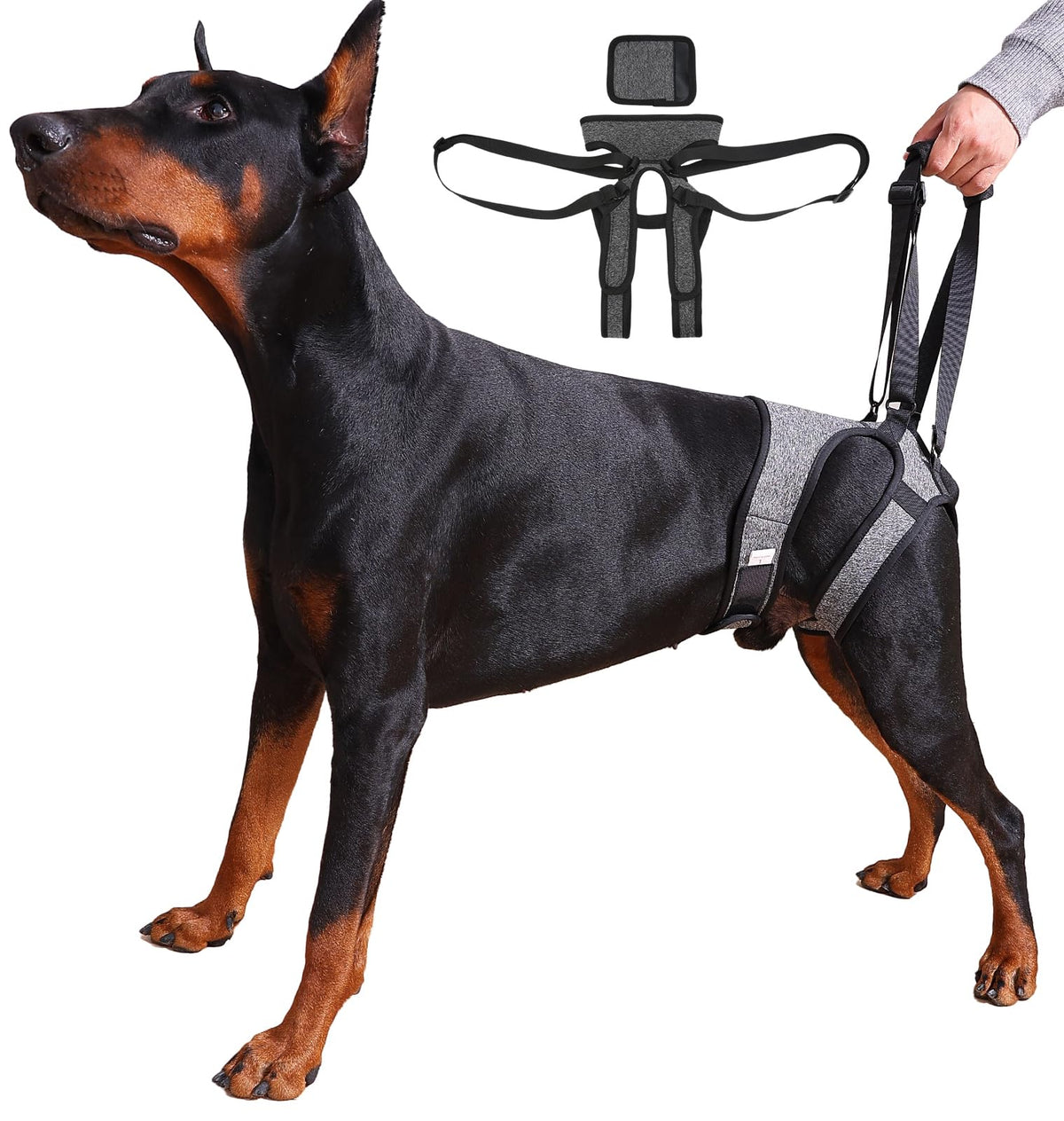 Dog Lift Harness (L / Grey)