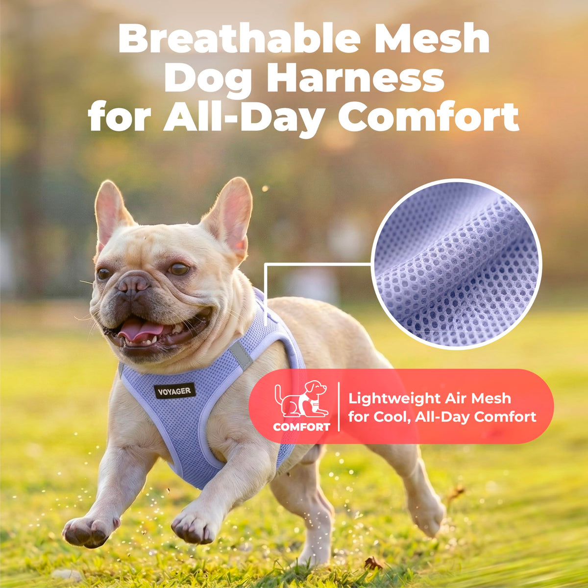 Voyager Step in Air Dog Vest Harness (Lavender / XXXS (Chest: 11 - 12"))