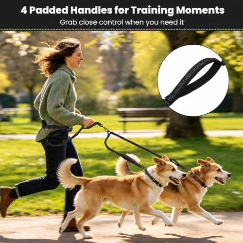 Hands Free Double Dog Leash (Pure Black)