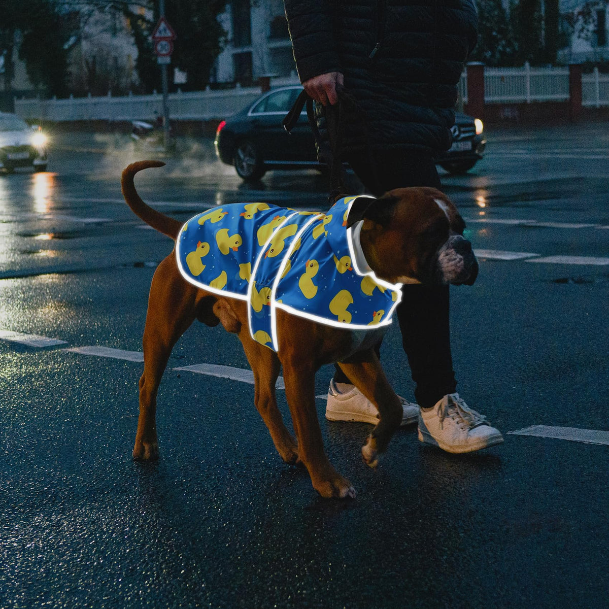 Dog Raincoat Waterproof Dog Rain Jacket with Hood (Blue Duck / Large)