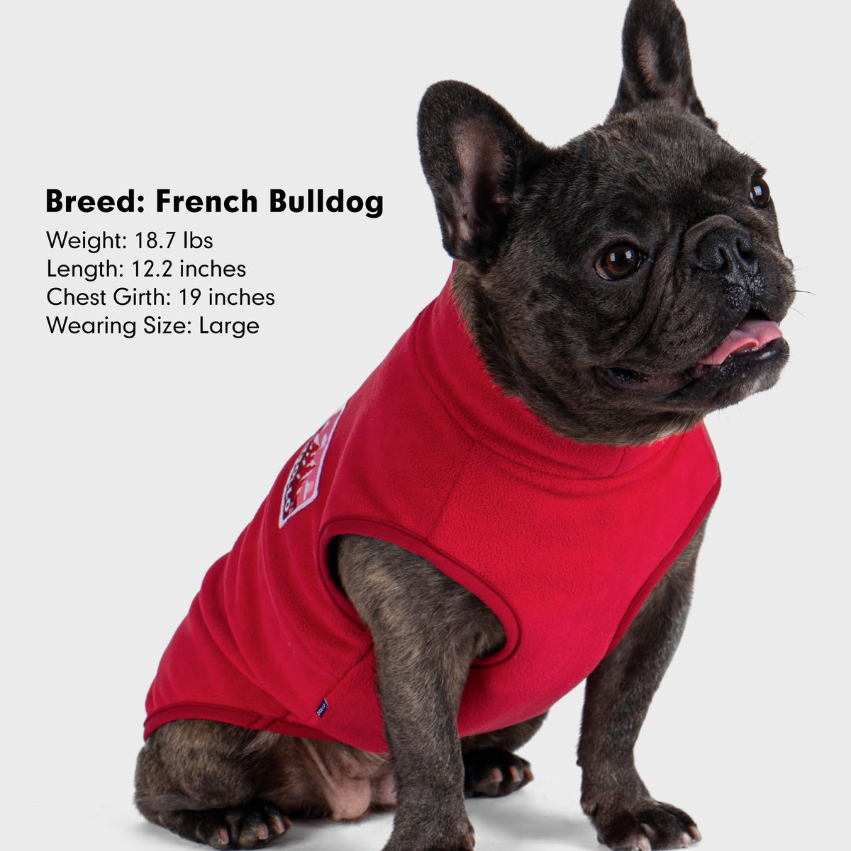 Fleece Dog Sweater (Red / Medium)