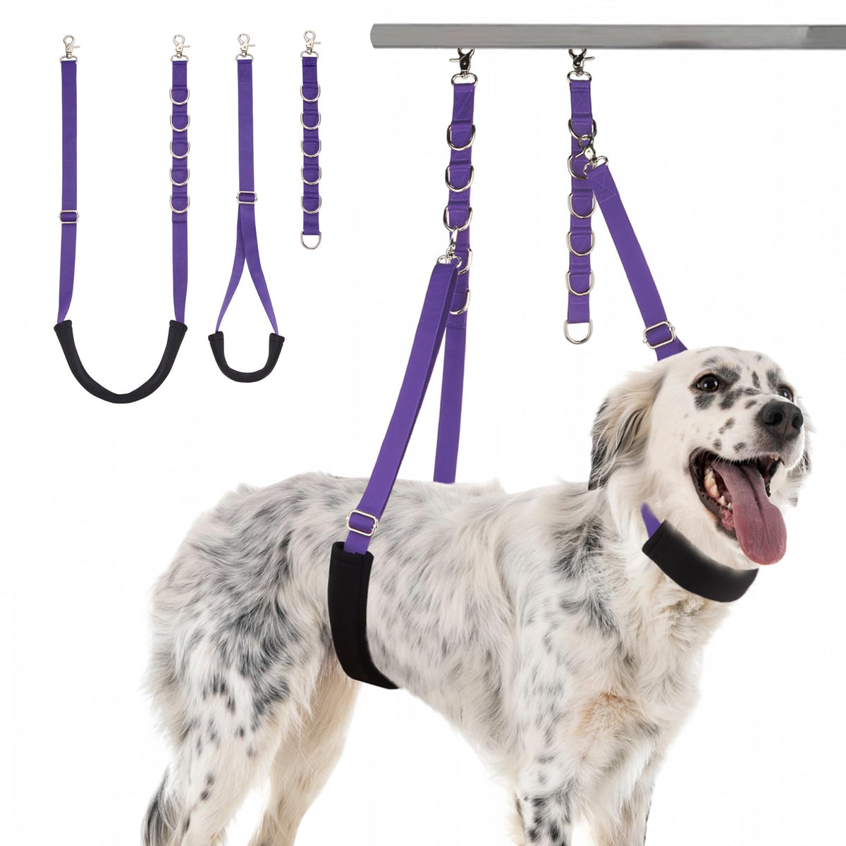 Dog Grooming Belly Strap (Voilet)