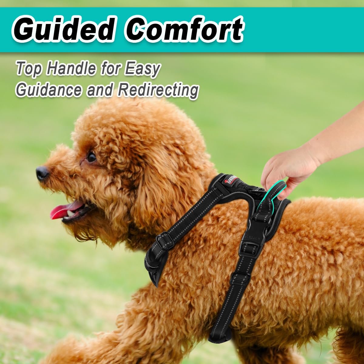 Dog Harness for Small Sized Dog No Pull 2 Leash Clips Dog Vest (Black / X-Small)
