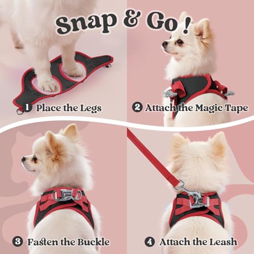 Dog Harness Small Sized and Leash Set (Black & Red / S (Chest: 15.1"-16.5"))