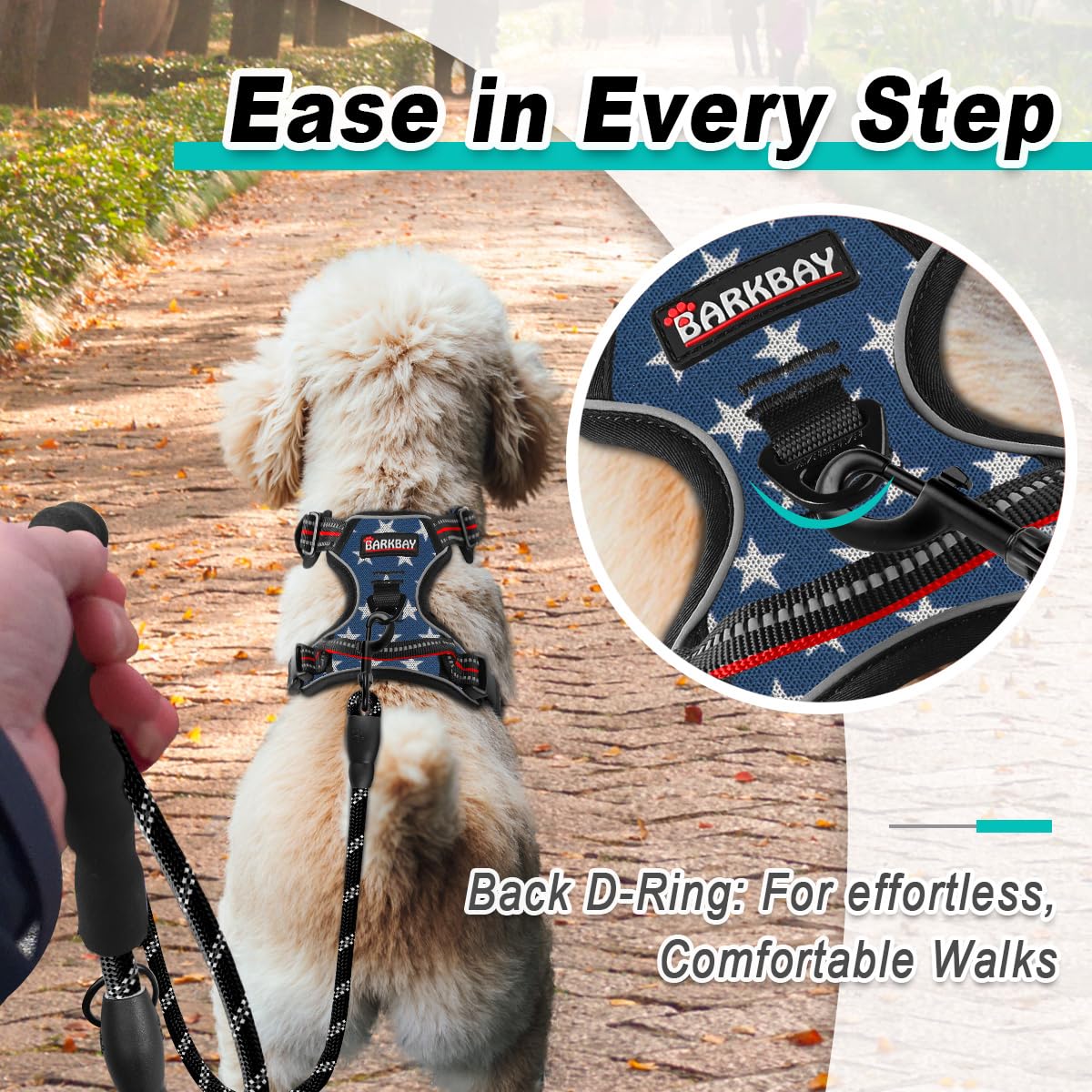 Dog Harness for Small Sized Dog No Pull Mesh 2 Clips Dog Vest (Blue Star-Mesh / Small)