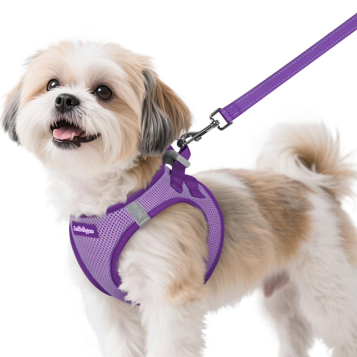 Dog Harness Small Sized and Leash Set (Light Purple & Purple / S (Chest: 15.1"-16.5"))