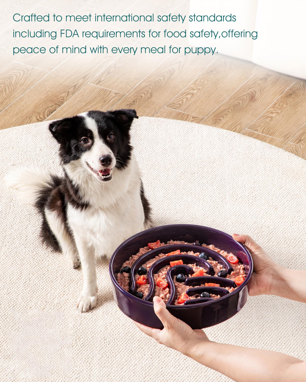 Slow Feeder Dog Bowl (Dark Purple / 3 Cups)
