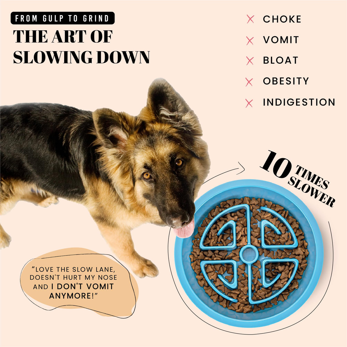 Slow Feeder Dog Bowls for Large Breeds Fits Raised Feeding Station (Slow Feeder Blue / 2.5 Cup - Fit 7.5-7.7'' Feeder Holes)