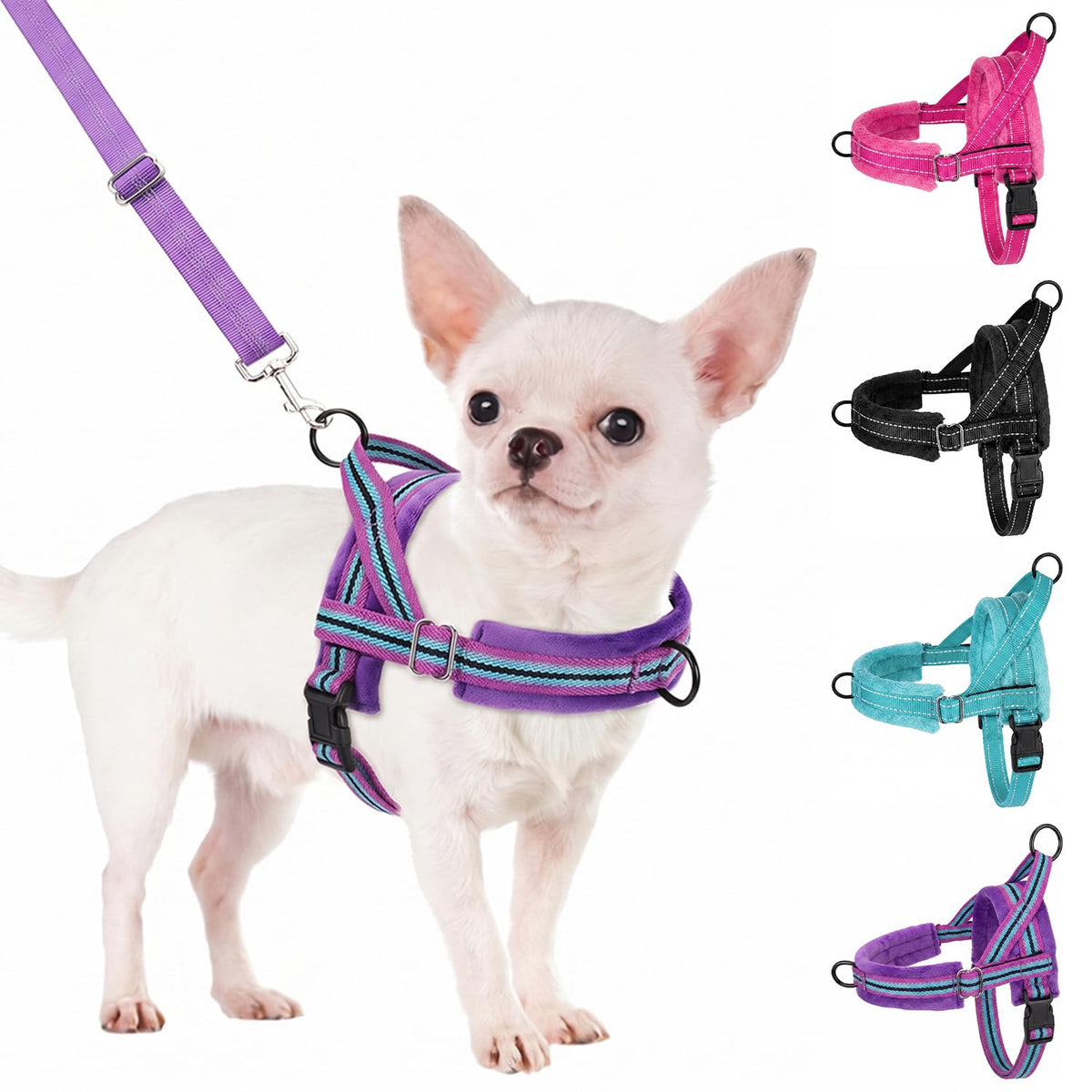 No Pull Small Dog Harness and Leash Set with Front Clip (XX-Small / Purple)