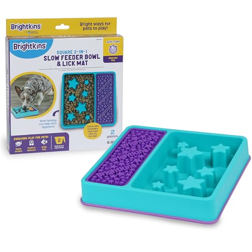 Square 2-in-1 Slow Feeder Bowl and Lick Mat (Slow Feeder & Lick Mat)