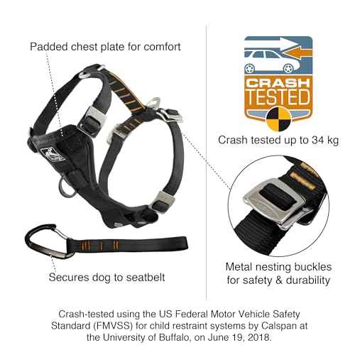 Enhanced Strength Tru (Black / Small)