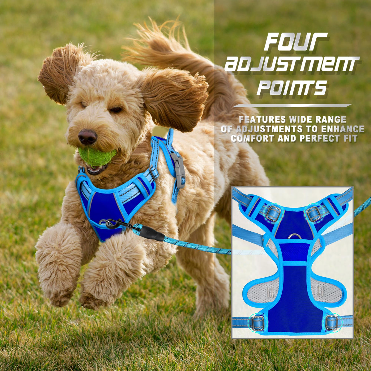 Dog Harness No Pull for Small Sized Dog Front Back Clips (X-Small(Chest:15.5-19.5”) / Sapphire Blue & Blue)