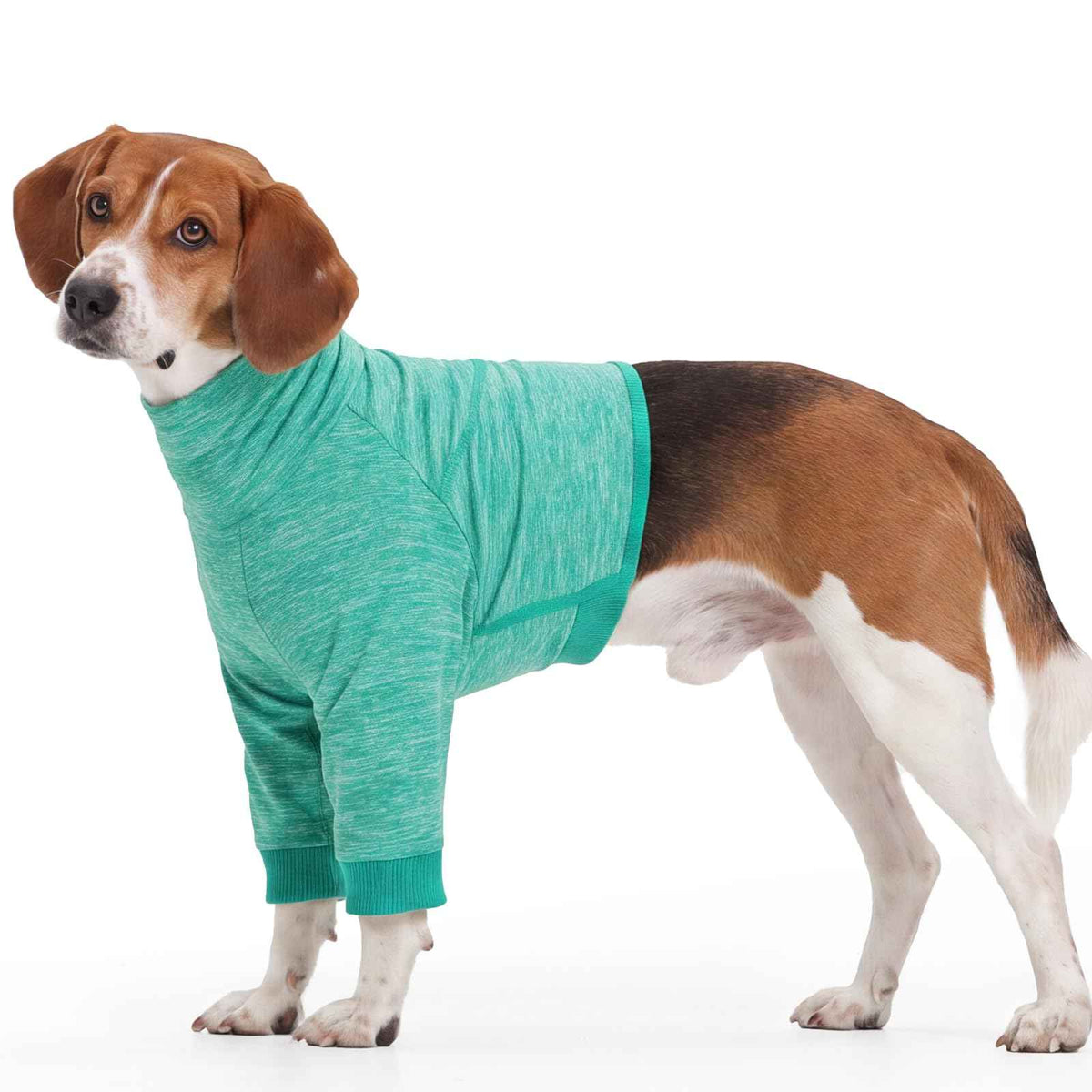 Dog Recovery Sleeve Front Leg Dog Shirt Half Shoulder (L / Green)