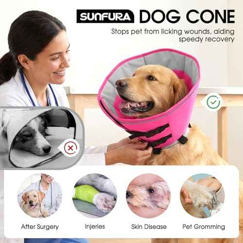 Soft Cone for Dogs to Stop Licking Dog Cone with Reflective Trims (Pink / Large)